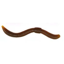 eurotackle202606031835512363416