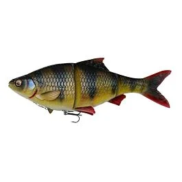 eurotackle202606031839582367215