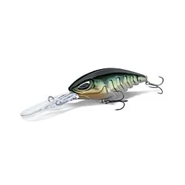eurotackle202606031848252374963
