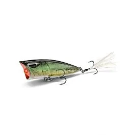 eurotackle202606031848272374984