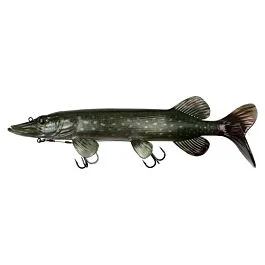 eurotackle202606031851182377720