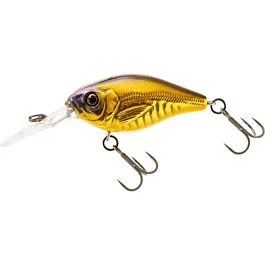 eurotackle202606031857472384050
