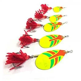 eurotackle202606031906562392179
