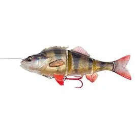 eurotackle202606031914082399163