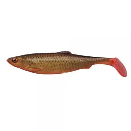 eurotackle202606031915502400790