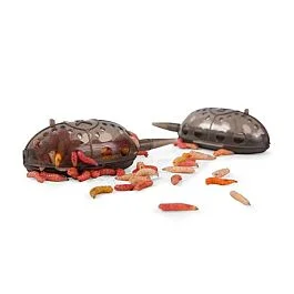 eurotackle202606031916272401362