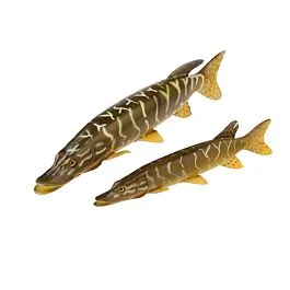 eurotackle202606031918342403313