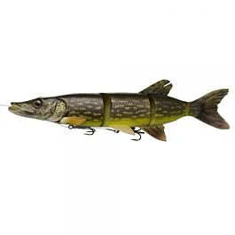 eurotackle202606031938152422269