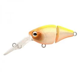 eurotackle202606031941252425295