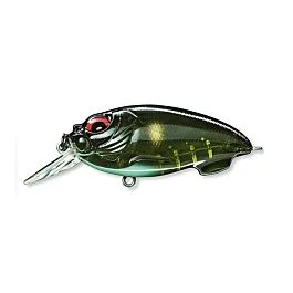 eurotackle202606031941272425319