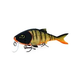 eurotackle202606031946152429687
