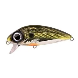 eurotackle202606031949222432444