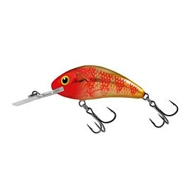 eurotackle202606031953392436198