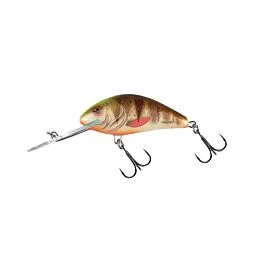 eurotackle202606031953392436201