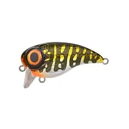 eurotackle202606031955182437647