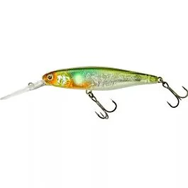 eurotackle202606032003112443917