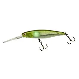 eurotackle202606032003112443923