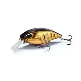 eurotackle202606032004482445122