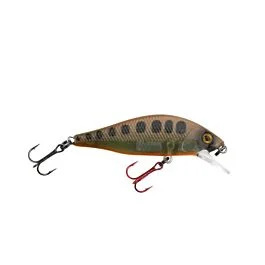 eurotackle202606032008142447792