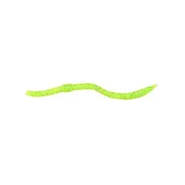 eurotackle202606032009272448777