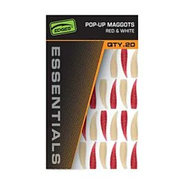 eurotackle202606032011572450698