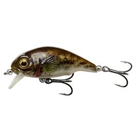 eurotackle202606032012082450843
