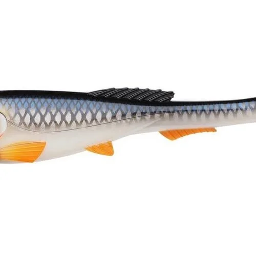 fishstorexl202606031815132343014