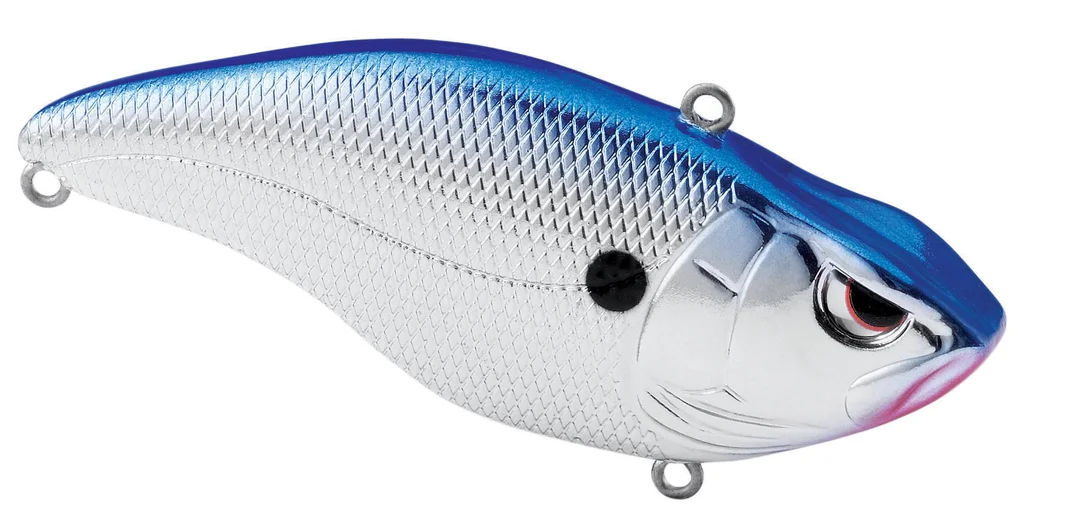 fishstorexl202606031815482343603