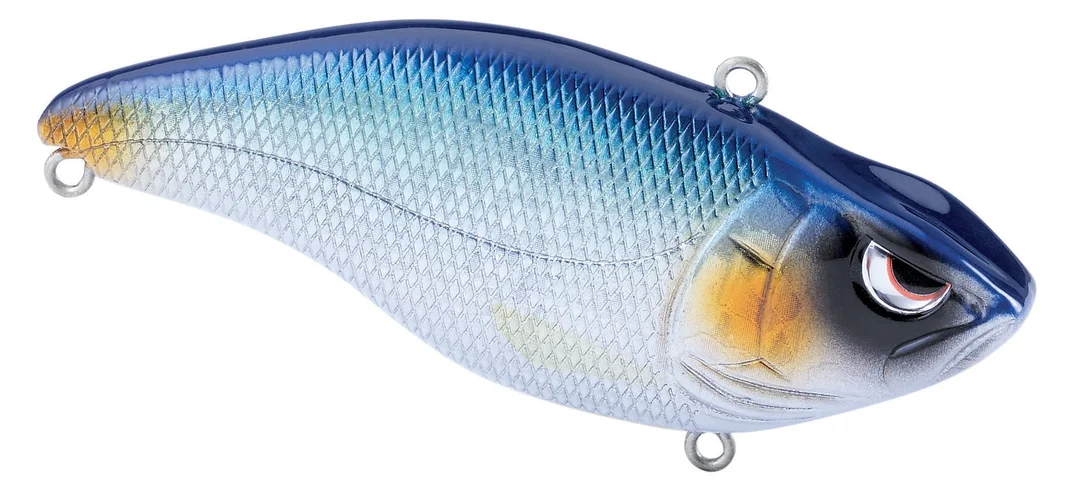 fishstorexl202606031815492343613