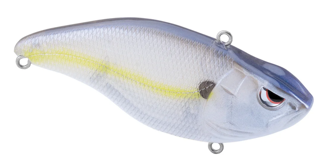 fishstorexl202606031815522343662