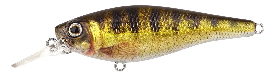 fishstorexl202606031822412350581