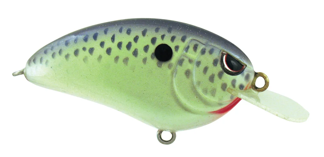 fishstorexl202606031824212352197