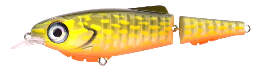 fishstorexl202606031828532356600