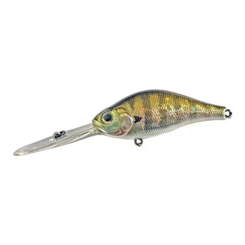 hengelsportfauna202606031827242355120