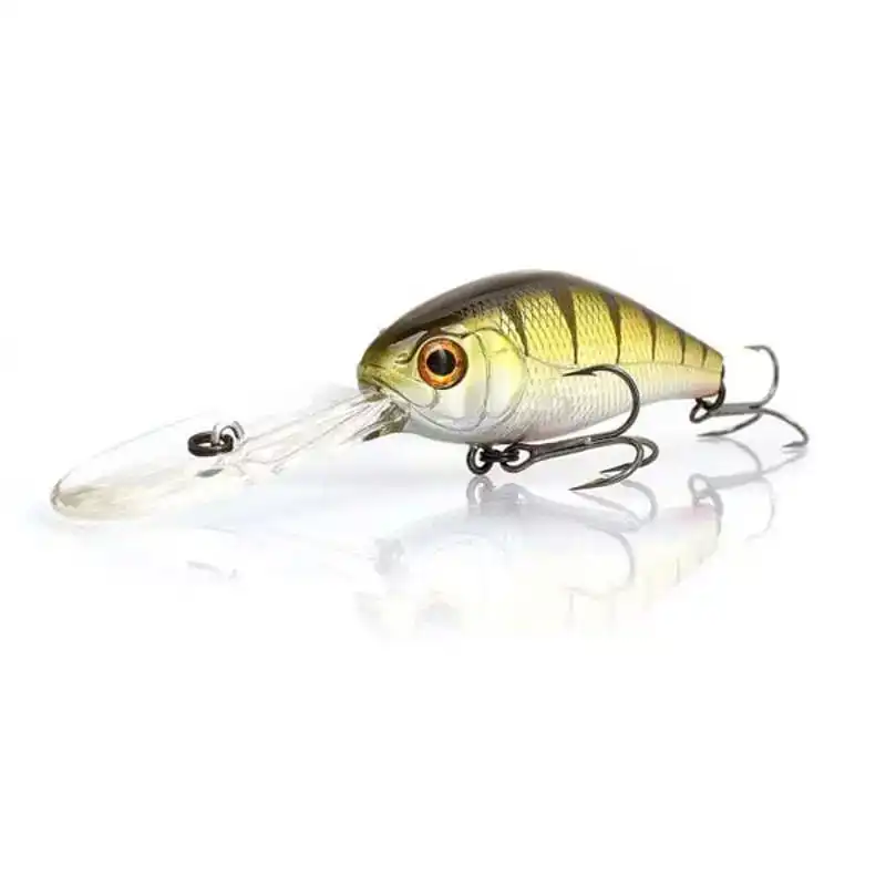 hengelsportfauna202606031841532368931