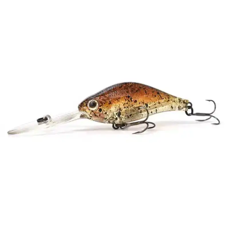hengelsportfauna202606031928422413343