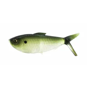 pecheur-store-1202606032243562534751
