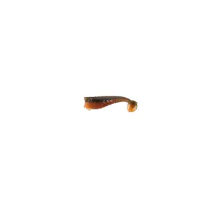 pecheur-store-1202606032256582540207