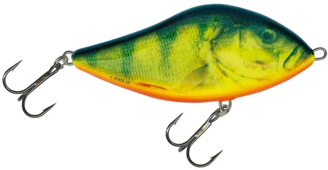 reniersfishing202606031810032338098