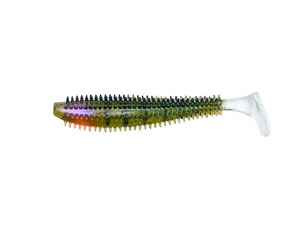 reniersfishing202606031819272347342