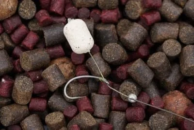 reniersfishing202606031843142370182