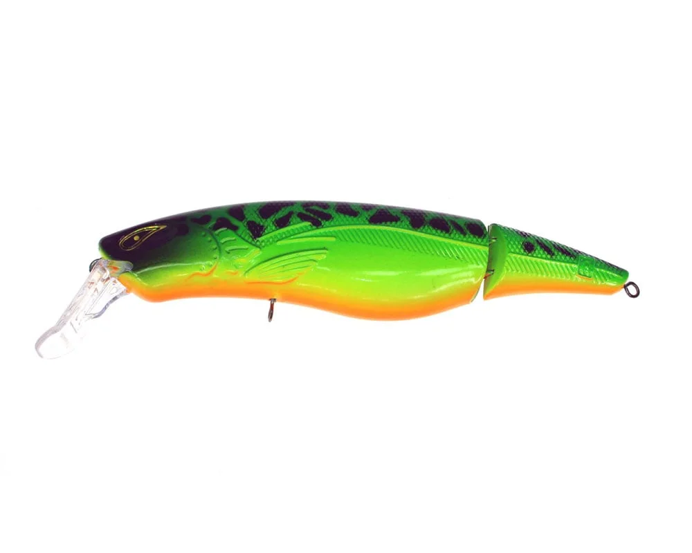 reniersfishing202606031933562418175