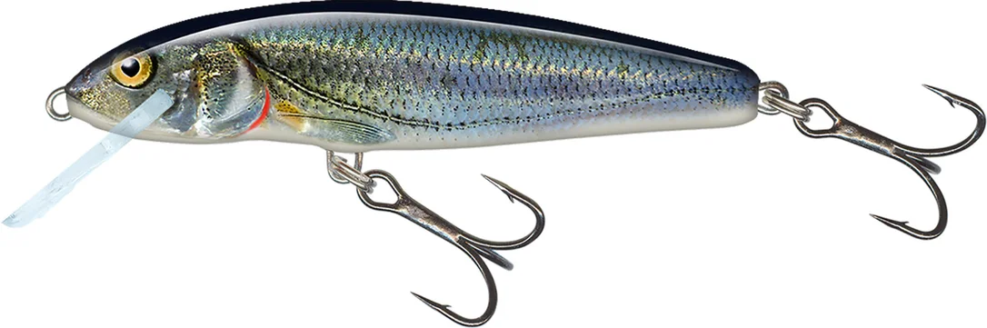 reniersfishing202606031935122419367