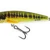 reniersfishing202606031935132419395