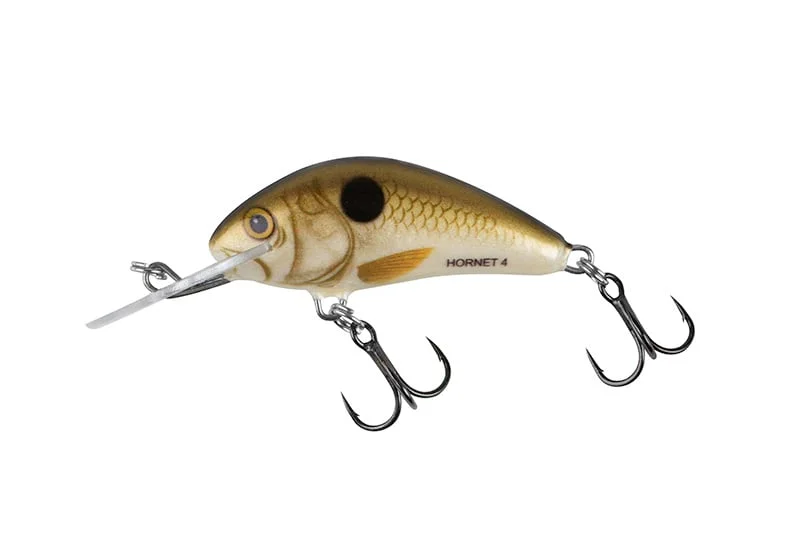 reniersfishing202606031935262419582