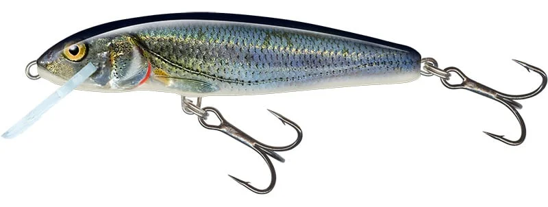 reniersfishing202606031935282419606