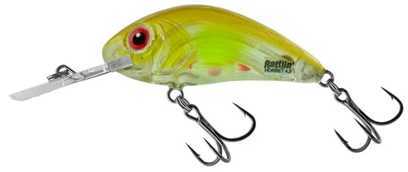 reniersfishing202606031935322419679