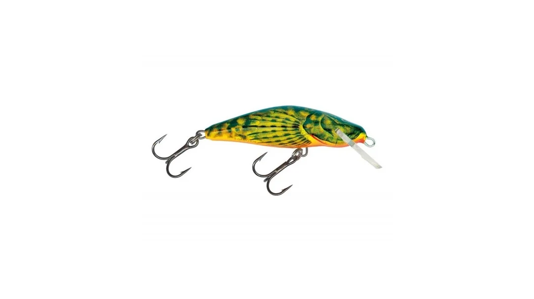 reniersfishing202606031935332419689