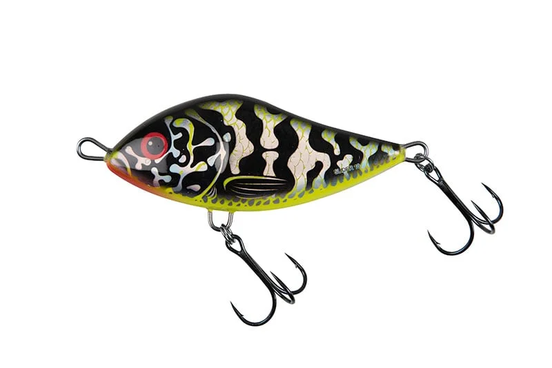 reniersfishing202606031935382419771