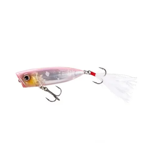 reniersfishing202606031938182422325